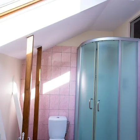 Проживание в семье Rinvasta *