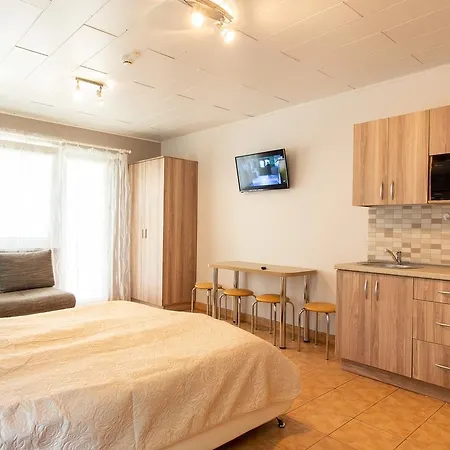 Rinvasta Друскининкай