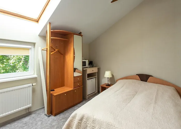 Rinvasta * Druskininkai