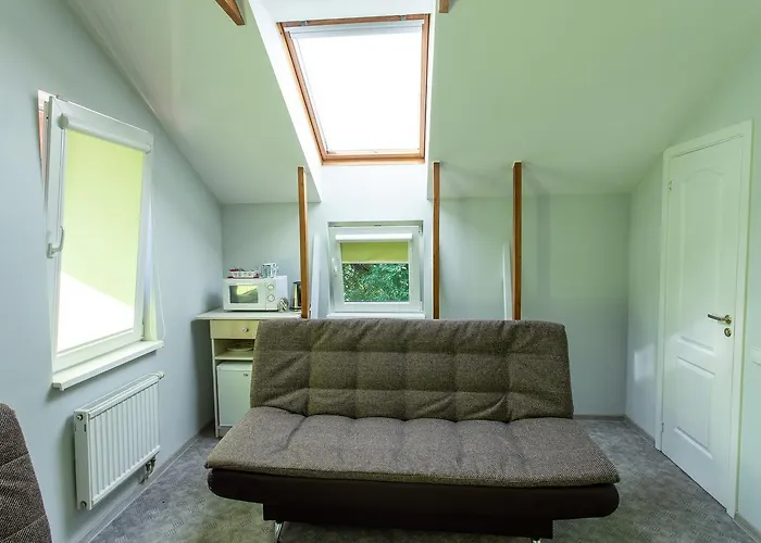 Проживание в семье Rinvasta Друскининкай