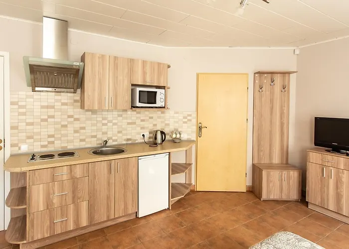 Rinvasta Проживание в семье Друскининкай