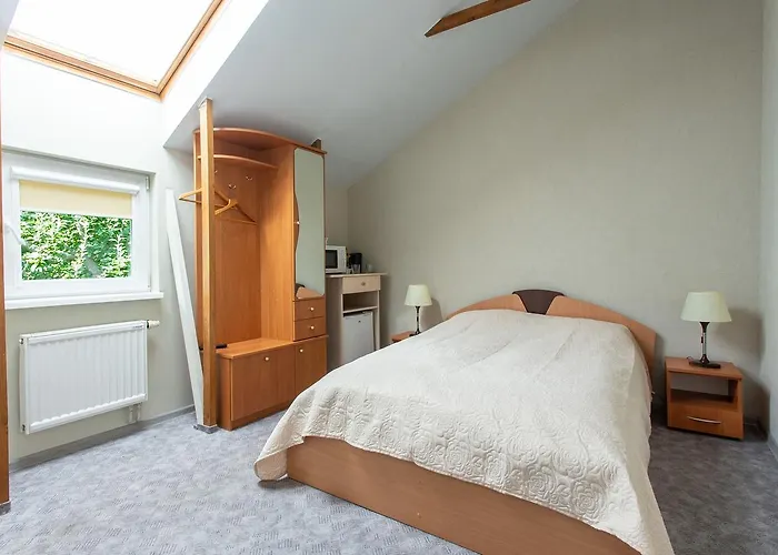 Rinvasta Проживание в семье