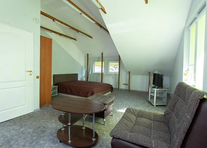 Rinvasta * Друскининкай