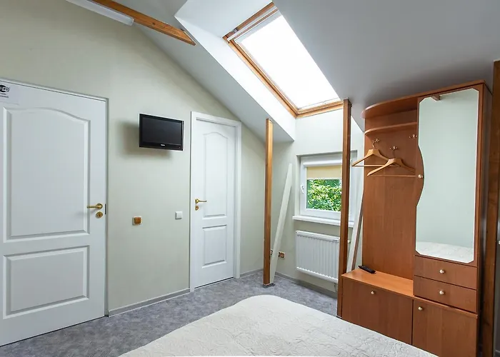 Rinvasta * Druskininkai