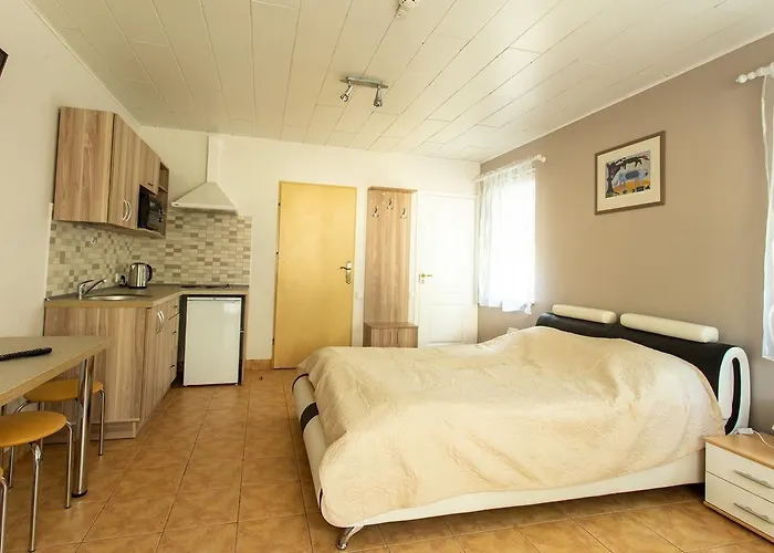 Rinvasta Проживание в семье