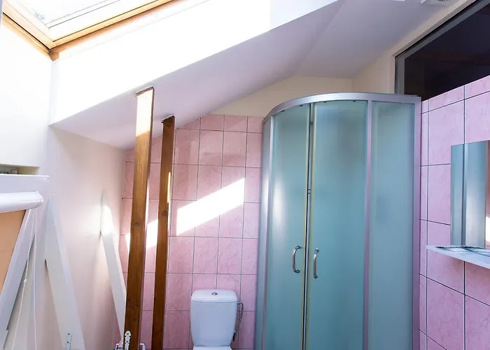 Проживание в семье Rinvasta *