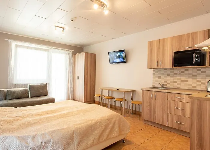 Rinvasta Друскининкай